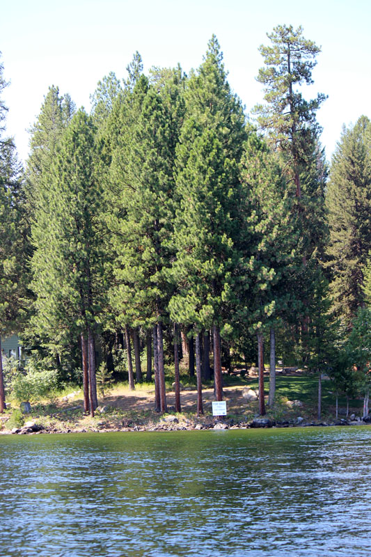 Lakefront Lots
